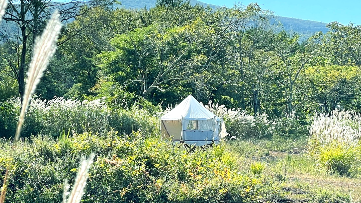 自然の中に設置したZERO POD